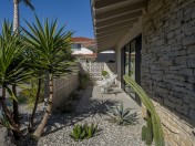 springparkhouse-5_jpg